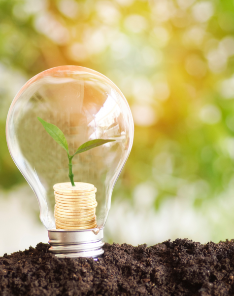 Environmental Management (16) Environmental Management (16)